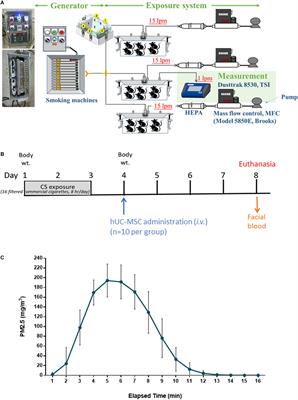 Effects of Human Umbilical Cord-Derived Mesenchymal Stem Cells on the Acute Cigarette Smoke-Induced Pulmonary Inflammation Model